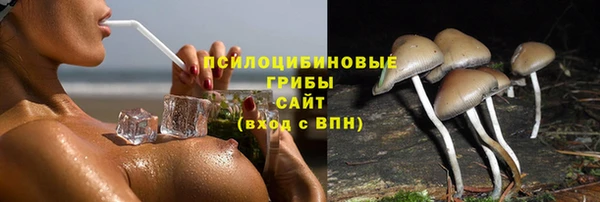 амф Алзамай