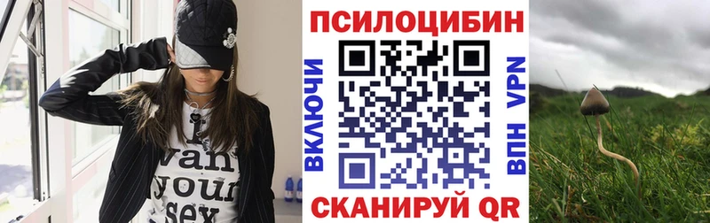 Галлюциногенные грибы Cubensis  цена наркотик  Снежногорск 